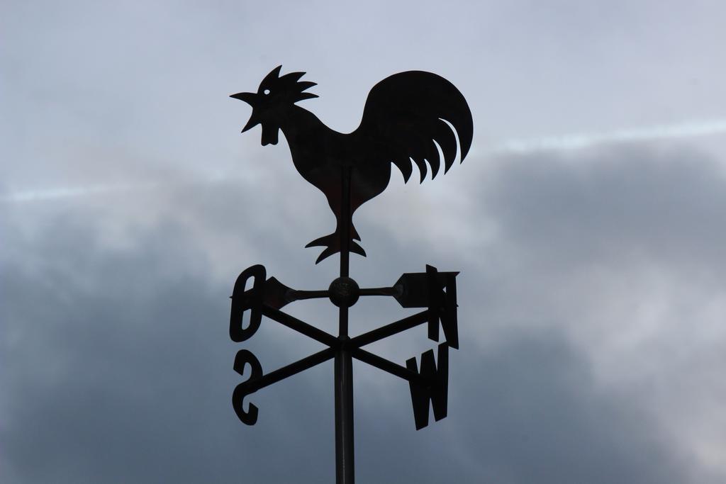 Pension Waldfrieden Maring-Noviand エクステリア 写真