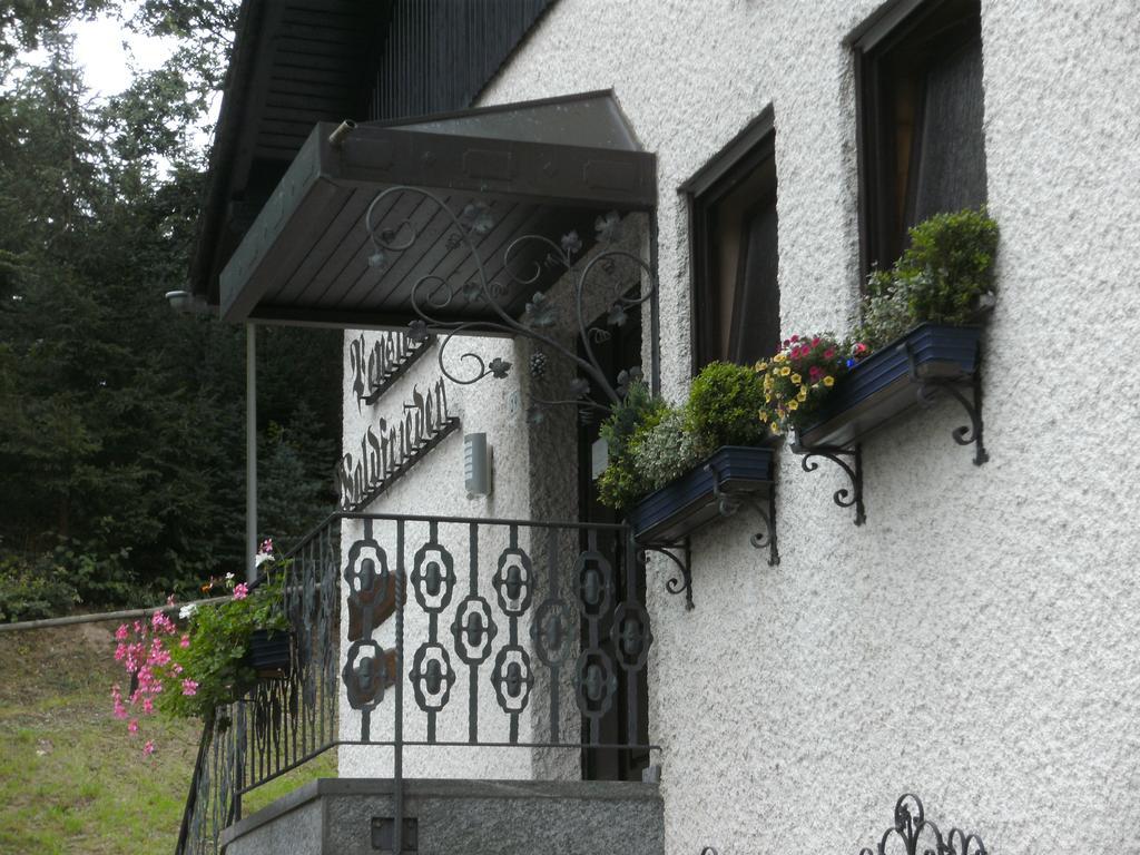 Pension Waldfrieden Maring-Noviand エクステリア 写真